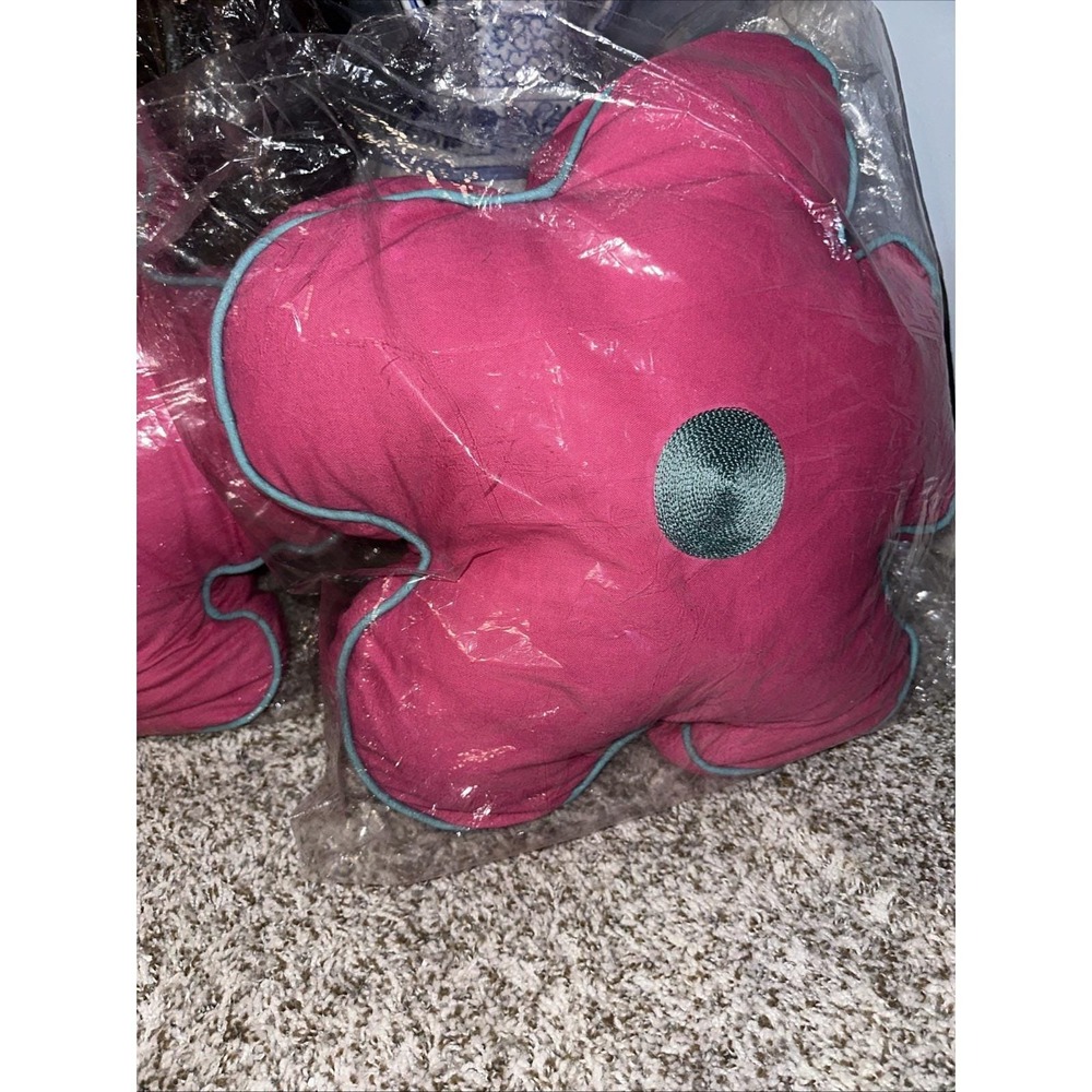 NWT Birch Lane Pillows Set Of 2 Pink